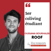 Vignette roof by haussmann