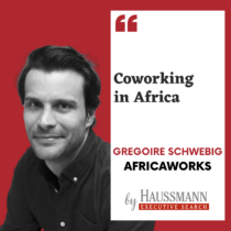 Africa Works vignette